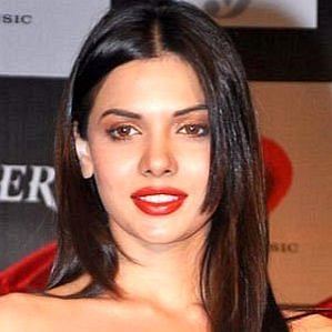 Sara Loren profile photo